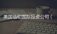 美國駱駝國際投資公司（美國駱駝國際投資公司）