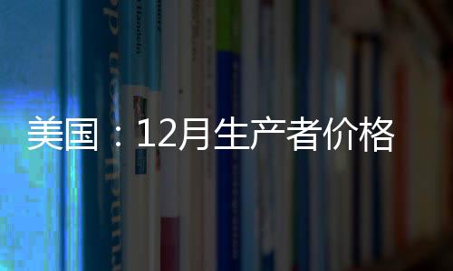 美國：12月生產者價格指數呈現巨大變化,國際動態