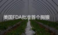 美國FDA批準首個胸腺組織再生療法Rethymic上市