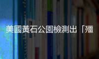 美國黃石公園檢測出「殭屍鹿」病　未來不排除傳人風(fēng)險