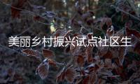 美麗鄉(xiāng)村振興試點(diǎn)社區(qū)生活廢水處理工程