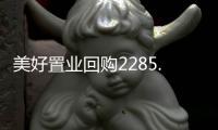 美好置業回購2285.08萬股用于員工持股計劃、股權激勵