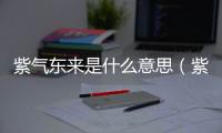 紫氣東來是什么意思（紫氣東來是什么梗）