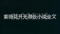 紫薇花開(kāi)無(wú)尋處小說(shuō)全文佚名免費(fèi)閱讀