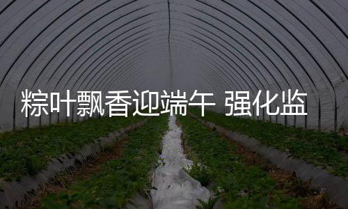 粽葉飄香迎端午 強化監管保食安