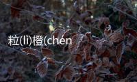 粒(lì)橙(chénɡ)閑(xián)芝(zhī)網友會怎么評論?