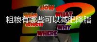 粗糧有哪些可以減肥降脂？粗糧減肥食譜