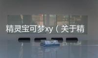 精靈寶可夢xy（關于精靈寶可夢xy的基本情況說明介紹）