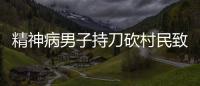 精神病男子持刀砍村民致3死2傷