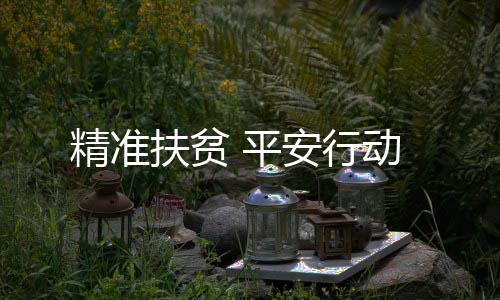 精準(zhǔn)扶貧 平安行動