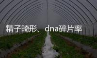 精子畸形、dna碎片率高，三代試管嬰兒或許是最后“救星”