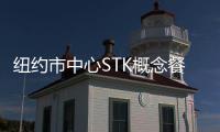 紐約市中心STK概念餐廳（組圖）