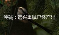 純堿：遠(yuǎn)興重堿已經(jīng)產(chǎn)出，2310及以后合約空單持有；玻璃