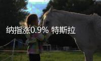 納指漲0.9% 特斯拉漲1.3%蘋果漲1.5%亞馬遜漲2.1%