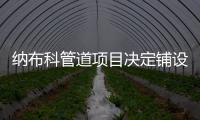 納布科管道項目決定鋪設(shè)兩條支線管道