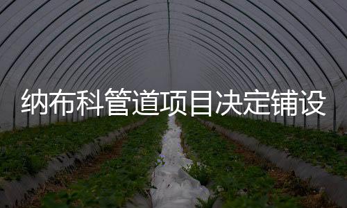 納布科管道項目決定鋪設兩條支線管道