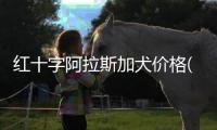 紅十字阿拉斯加犬價(jià)格(阿拉斯加紅十字怎么挑)