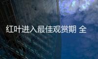 紅葉進入最佳觀賞期 全國44位作家大悟采風