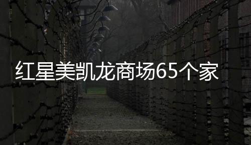 紅星美凱龍商場65個家居品牌獲評為“家居綠色環保領跑品牌”