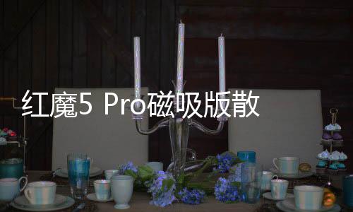 紅魔5 Pro磁吸版散熱器曝光：搭載VC+TEC雙重制冷，透明PC外殼