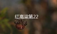 紅高粱第22