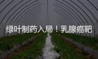 綠葉制藥入局！乳腺癌靶向藥物“百花齊放”