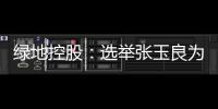 綠地控股：選舉張玉良為第十屆董事長 孫慶、胡欣為副董事長