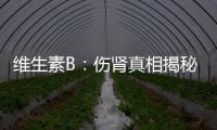 維生素B：傷腎真相揭秘！