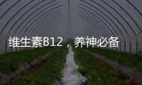 維生素B12，養神必備！一天幾粒最佳？