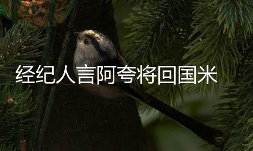 經(jīng)紀人言阿夸將回國米 藍鷹邀請已遭拒絕