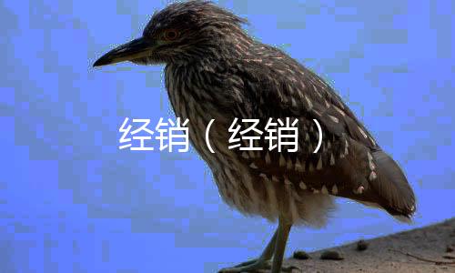 經銷（經銷）