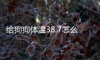 給狗狗體溫38.7怎么辦呢？狗狗體溫38.7度