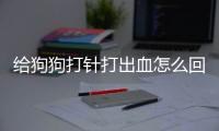 給狗狗打針打出血怎么回事(狗狗打針后臉腫了怎么回事)