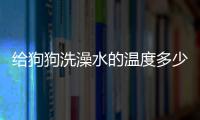 給狗狗洗澡水的溫度多少比較合適？ 狗洗澡用多少度的水