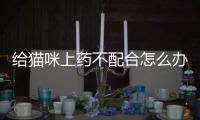 給貓咪上藥不配合怎么辦(給貓咪上藥,它知道是在救它么)