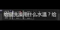 給貓洗澡用什么水溫？給貓洗澡用什么水最好