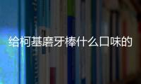 給柯基磨牙棒什么口味的好一點(給柯基磨牙棒什么口味的好用)