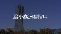 給小泰迪剪指甲
