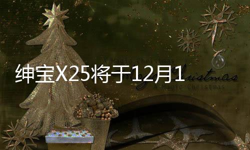 紳寶X25將于12月12日上市 預(yù)售5.58萬起