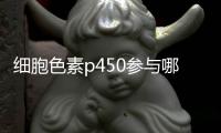 細胞色素p450參與哪種物質(zhì)的合成（細胞色素p450）