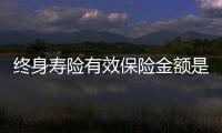 終身壽險有效保險金額是什么意思