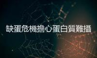 缺蛋危機擔心蛋白質難攝取？營養師建議三餐＋點心掌握4大原則這樣吃