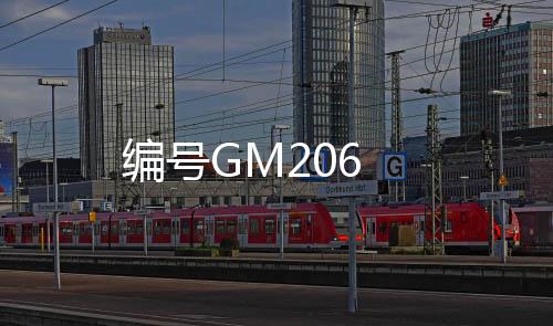 編號GM206