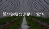 繁華的反義詞是?（繁華的反義詞是什么呢）