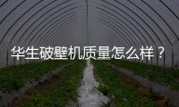 華生破壁機(jī)質(zhì)量怎么樣？深度解析華生電器的品牌價(jià)值與產(chǎn)品質(zhì)量