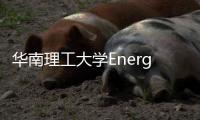 華南理工大學(xué)Energy Environ. Sci.：抑制晶粒粗化并引入氧空位的SnO2