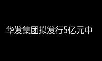 華發(fā)集團擬發(fā)行5億元中期票據(jù) 期限為5+5年