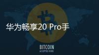 華為暢享20 Pro手機一直重啟怎么辦?手機忘記密碼怎么一鍵刷機？