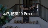 華為暢享20 Pro（6GB/128GB/全網通/5G版）手機密碼忘記怎么刷機？