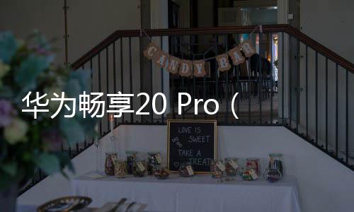 華為暢享20 Pro（6GB/128GB/全網(wǎng)通/5G版）手機(jī)密碼忘記怎么刷機(jī)？